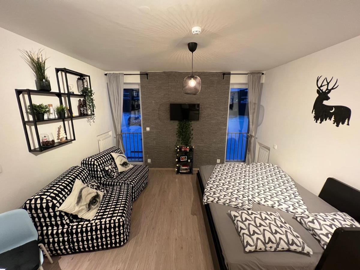 New Nelis Apartment Klinovec Loučná pod Klínovcem エクステリア 写真