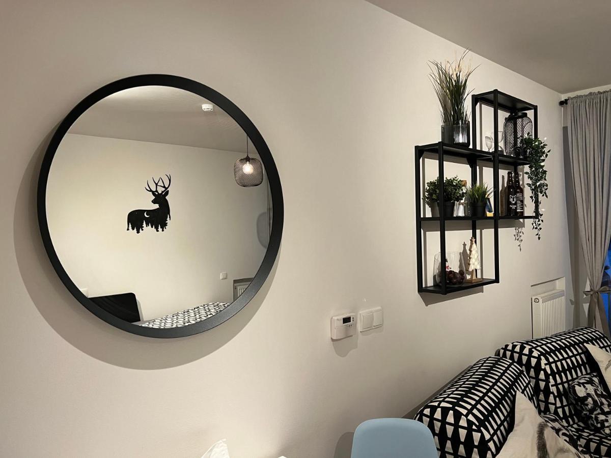 New Nelis Apartment Klinovec Loučná pod Klínovcem エクステリア 写真