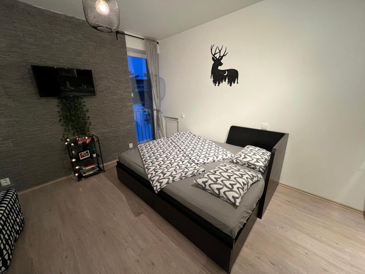 New Nelis Apartment Klinovec Loučná pod Klínovcem エクステリア 写真