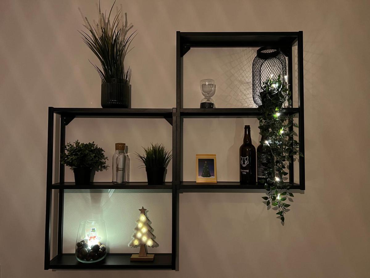 New Nelis Apartment Klinovec Loučná pod Klínovcem エクステリア 写真