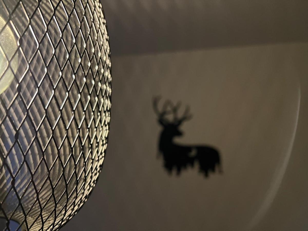 New Nelis Apartment Klinovec Loučná pod Klínovcem エクステリア 写真
