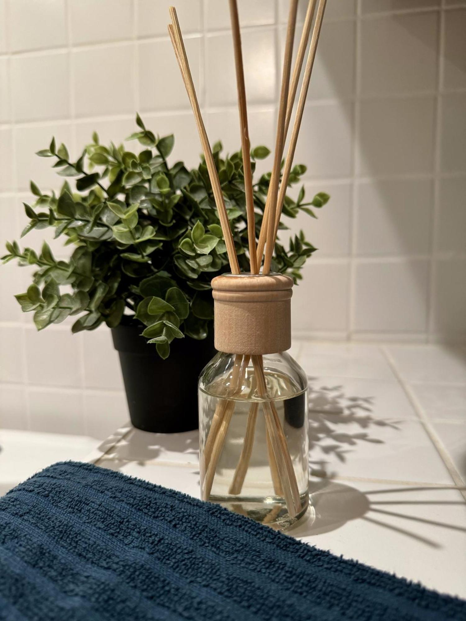 New Nelis Apartment Klinovec Loučná pod Klínovcem エクステリア 写真